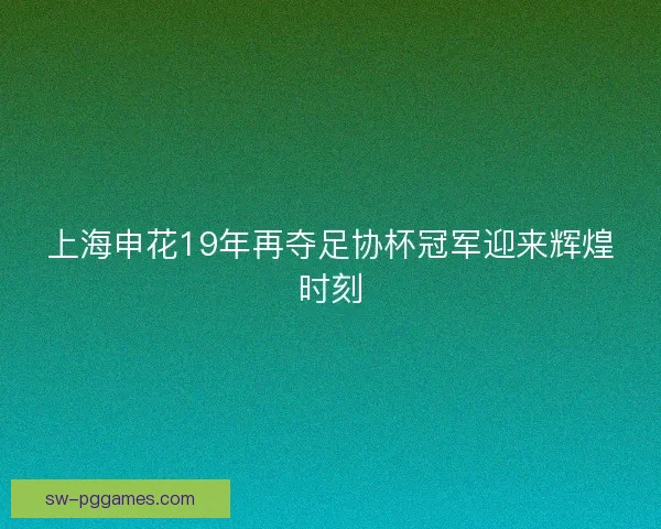 上海申花19年再夺足协杯冠军迎来辉煌时刻